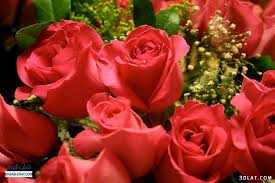 عمر بن الخطاب