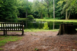 عمر بن الخطاب